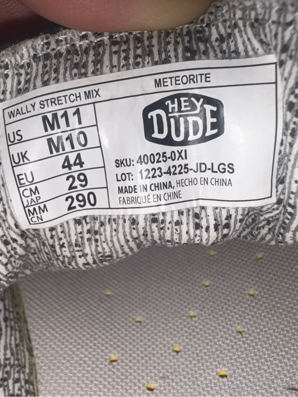 Hey Dude Wally meteorite size 11